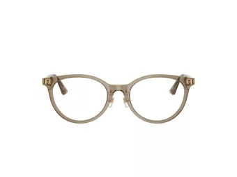 Jimmy Choo Brillen JC 3039D 5051