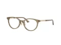Jimmy Choo Brillen JC 3039D 5051