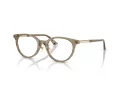 Jimmy Choo Brillen JC 3039D 5051