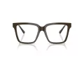 Jimmy Choo Brillen 3040U 5060
