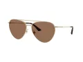 Jimmy Choo Sonnenbrille JC 4002B 301773