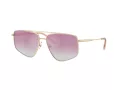 Jimmy Choo Sonnenbrille JC 4011 300658