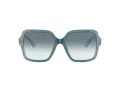 Jimmy Choo Sonnenbrille JC 5005 504319