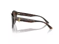 Jimmy Choo Sonnenbrille JC 5007 500213