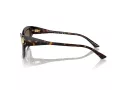 Jimmy Choo Sonnenbrille JC 5011U 500273