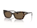 Jimmy Choo Sonnenbrille JC 5011U 500273