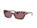 Jimmy Choo Sonnenbrille JC 5011U 50701A