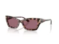 Jimmy Choo Sonnenbrille JC 5011U 50701A