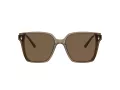 Jimmy Choo Sonnenbrille JC 5016D 505173