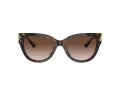 Jimmy Choo Sonnenbrille JC 5018U 500213