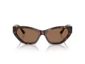 Jimmy Choo Sonnenbrille JC 5022B 500273