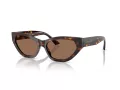 Jimmy Choo Sonnenbrille JC 5022B 500273