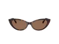 Jimmy Choo Sonnenbrille JC 5023H 500273