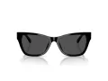 Jimmy Choo Sonnenbrille JC 5024HU 500087