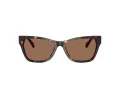 Jimmy Choo Sonnenbrille JC 5024HU 500273