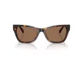 Jimmy Choo Sonnenbrille JC 5024HU 500273