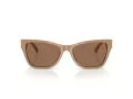 Jimmy Choo Sonnenbrille JC 5024HU 505873