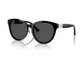 Jimmy Choo Sonnenbrille JC 5032D 500087