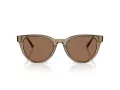 Jimmy Choo Sonnenbrille JC 5043D 505173