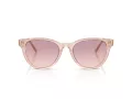 Jimmy Choo Sonnenbrille JC 5043D 505268
