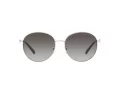 Michael Kors Alpine Sonnenbrille MK 1119 1014/8G