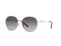 Michael Kors Alpine Sonnenbrille MK 1119 1014/8G
