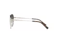 Michael Kors Alpine Sonnenbrille MK 1119 1014/8G