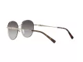 Michael Kors Alpine Sonnenbrille MK 1119 1014/8G