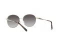 Michael Kors Alpine Sonnenbrille MK 1119 1014/8G