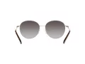 Michael Kors Alpine Sonnenbrille MK 1119 1014/8G