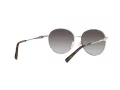 Michael Kors Alpine Sonnenbrille MK 1119 1014/8G