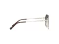 Michael Kors Alpine Sonnenbrille MK 1119 1014/8G