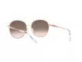 Michael Kors Alpine Sonnenbrille MK 1119 1108/8Z