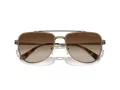 Michael Kors Whistler Sonnenbrille MK 1155 100113