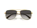 Michael Kors Whistler Sonnenbrille MK 1155 18968G