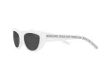 Michael Kors Rio Sonnenbrille MK 2160 3100/87