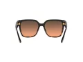 Michael Kors Karlie Sonnenbrille 2170U 390818