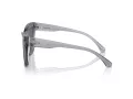 Michael Kors Dubai Sonnenbrille MK 2211U 397087