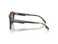 Michael Kors Eger Sonnenbrille MK 2216U 39787I