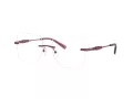 Michael Kors Giverny Brillen MK 3078 1015