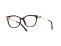 Michael Kors Rome Brillen MK 4076U 3344