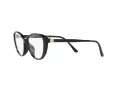 Michael Kors Amagansett Brillen MK 4102U 3005