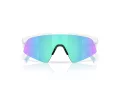 Oakley Resistor Sweep Sonnenbrille OJ 9015 01