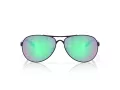 Oakley Feedback Sonnenbrille OO 4079 53