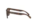 Oakley Frogskins Sonnenbrille OO 9013 C5
