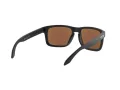 Oakley Holbrook Sonnenbrille OO 9102 F0