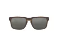 Oakley Holbrook Sonnenbrille OO 9102 F4