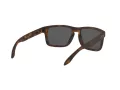 Oakley Holbrook Sonnenbrille OO 9102 F4