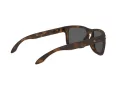 Oakley Holbrook Sonnenbrille OO 9102 F4