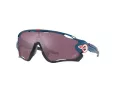 Oakley Sonnenbrille OO 9290 64